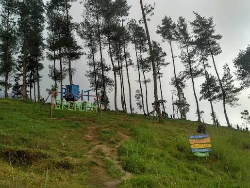 Wisata Bukit Grenden