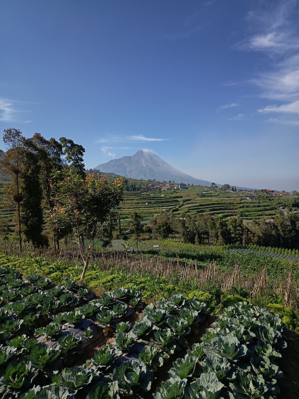 Panorama Merapi