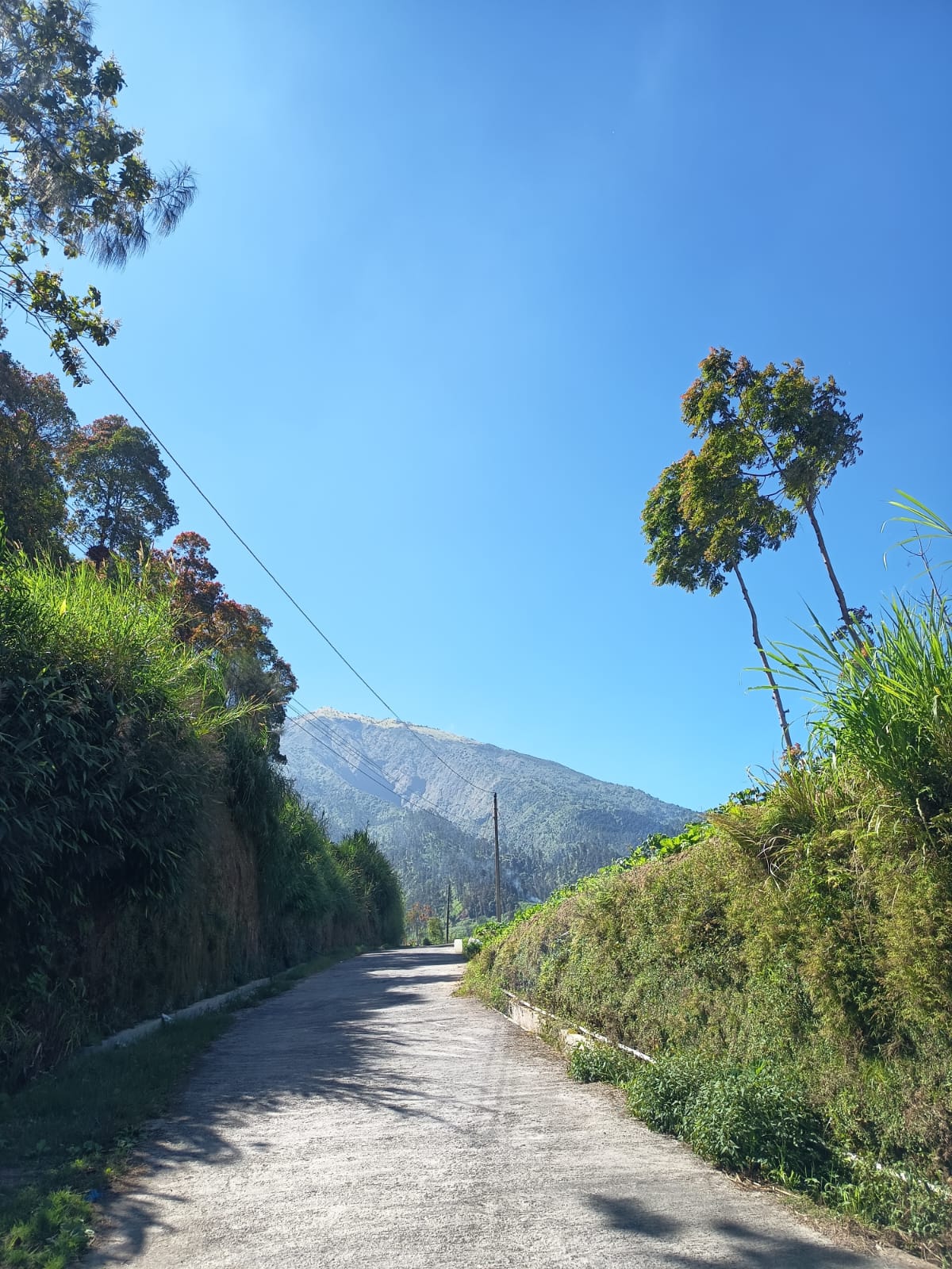 Panorama Merbabu